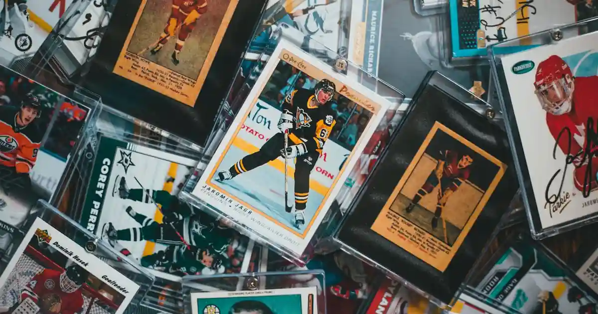 Trading cards organized in binders and protective sleeves on a shelf